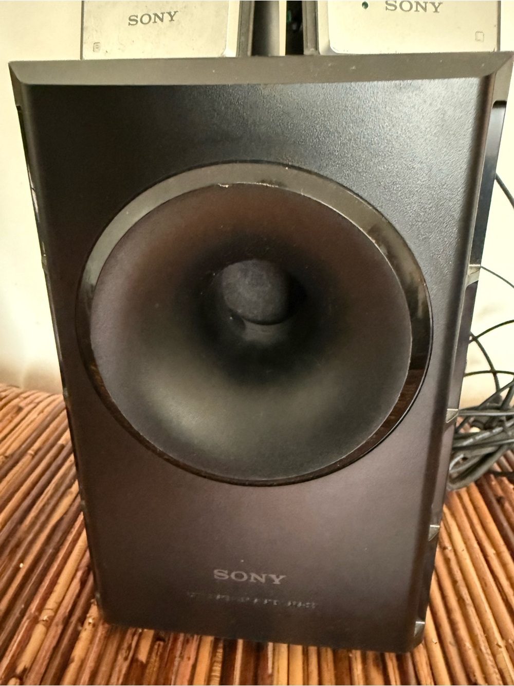 Sony SRS-D21